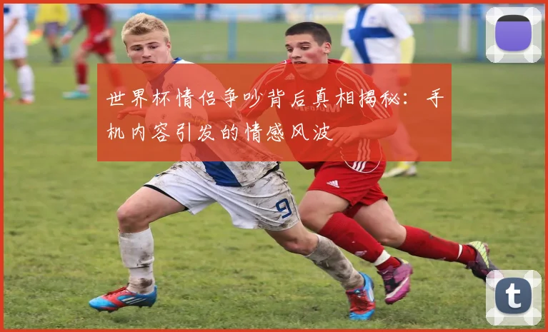 世界杯情侣争吵背后真相揭秘：手机内容引发的情感风波